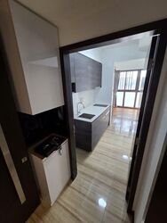 Sims Urban Oasis (D14), Condominium #584478931